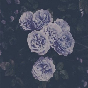 醉酒壮汉Gay野外强迫XX-百度
