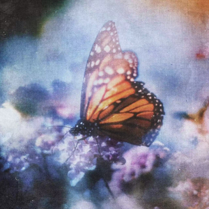 醉酒壮汉Gay野外强迫XX-百度
