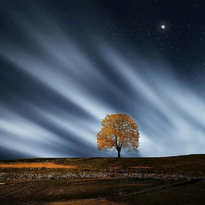 醉酒壮汉Gay野外强迫XX-百度
