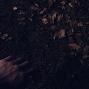 醉酒壮汉Gay野外强迫XX-百度
